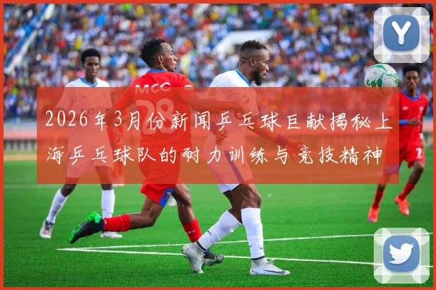2026年3月份新闻乒乓球巨献揭秘上海乒乓球队的耐力训练与竞技精神