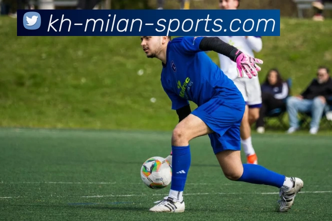 米兰体育入口平台生态图